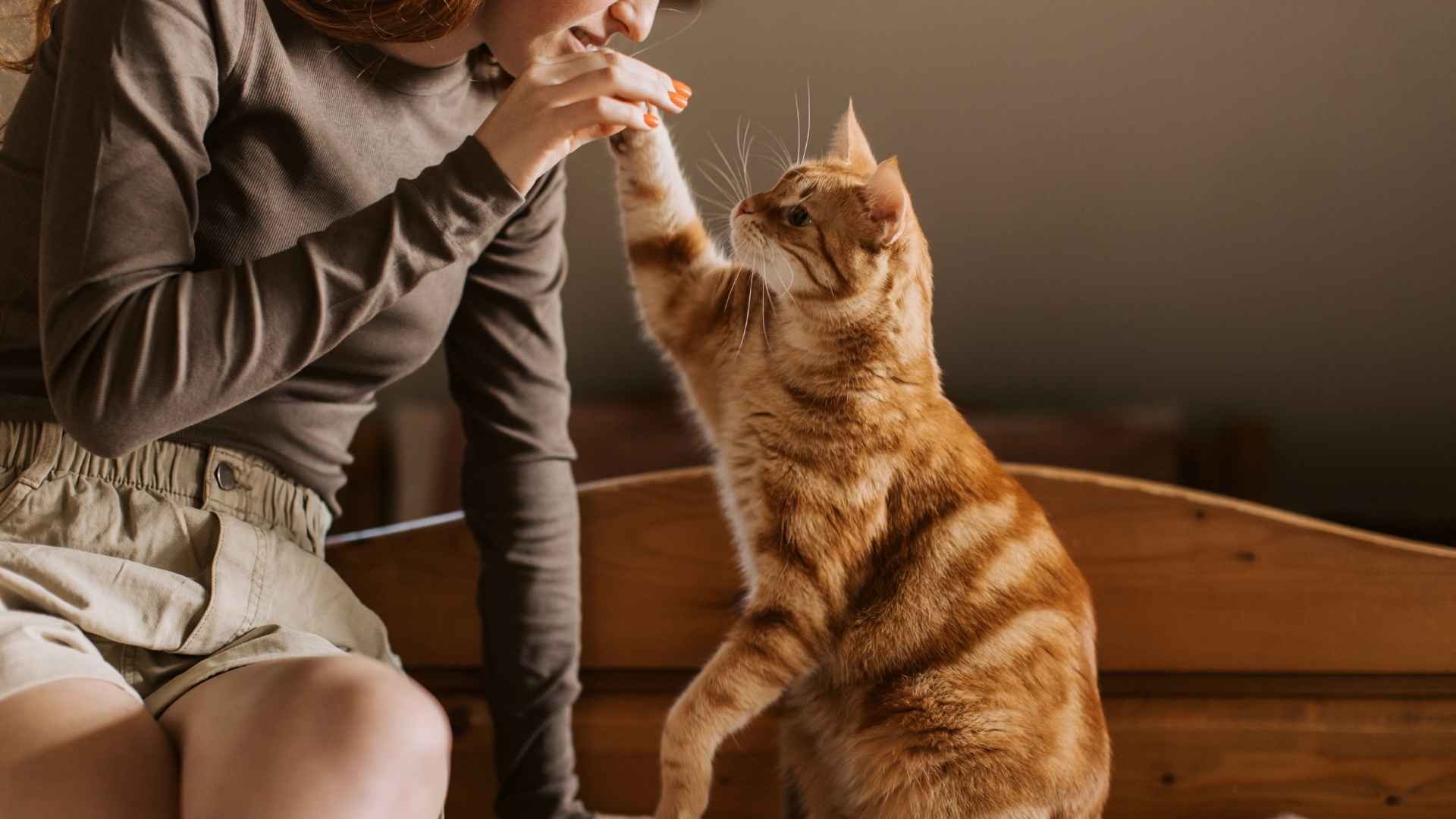 Mujer chocando los cinco con un gato